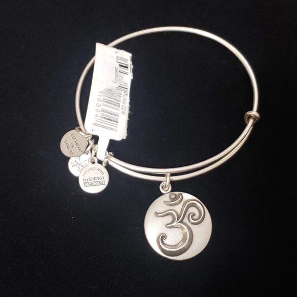 NWT Alex and Ani RS Ohm III 2016 - Picture 6 of 9